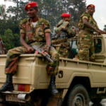 Ethiopian rebels blamed for 'terror attack' in restive west