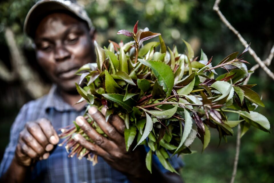 Mugoka farmer